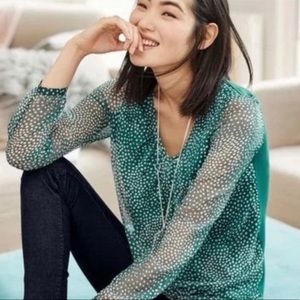 Boden Aubrey sheer v-neck, polka dot sleeve blouse!Beautiful! EUC💚🍀☘️🍃💚